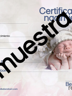 Certificado de nacimiento Nº2