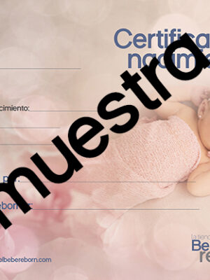 Certificado de nacimiento Nº3