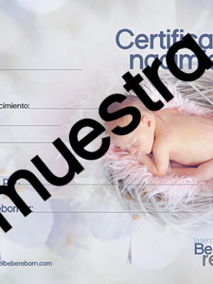 Certificado de nacimiento Nº4