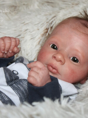 Thomas awake (3D- Real born)- Bountiful baby