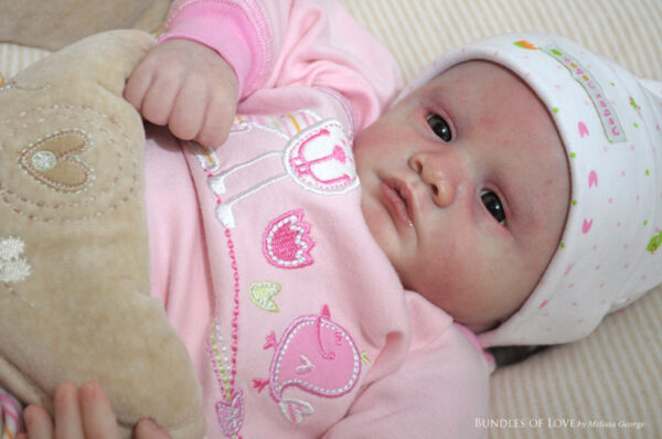 Violet (Bountiful baby) - Imagen 2