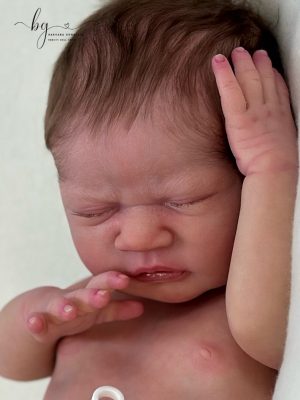 Tulipa Priscila Lopez