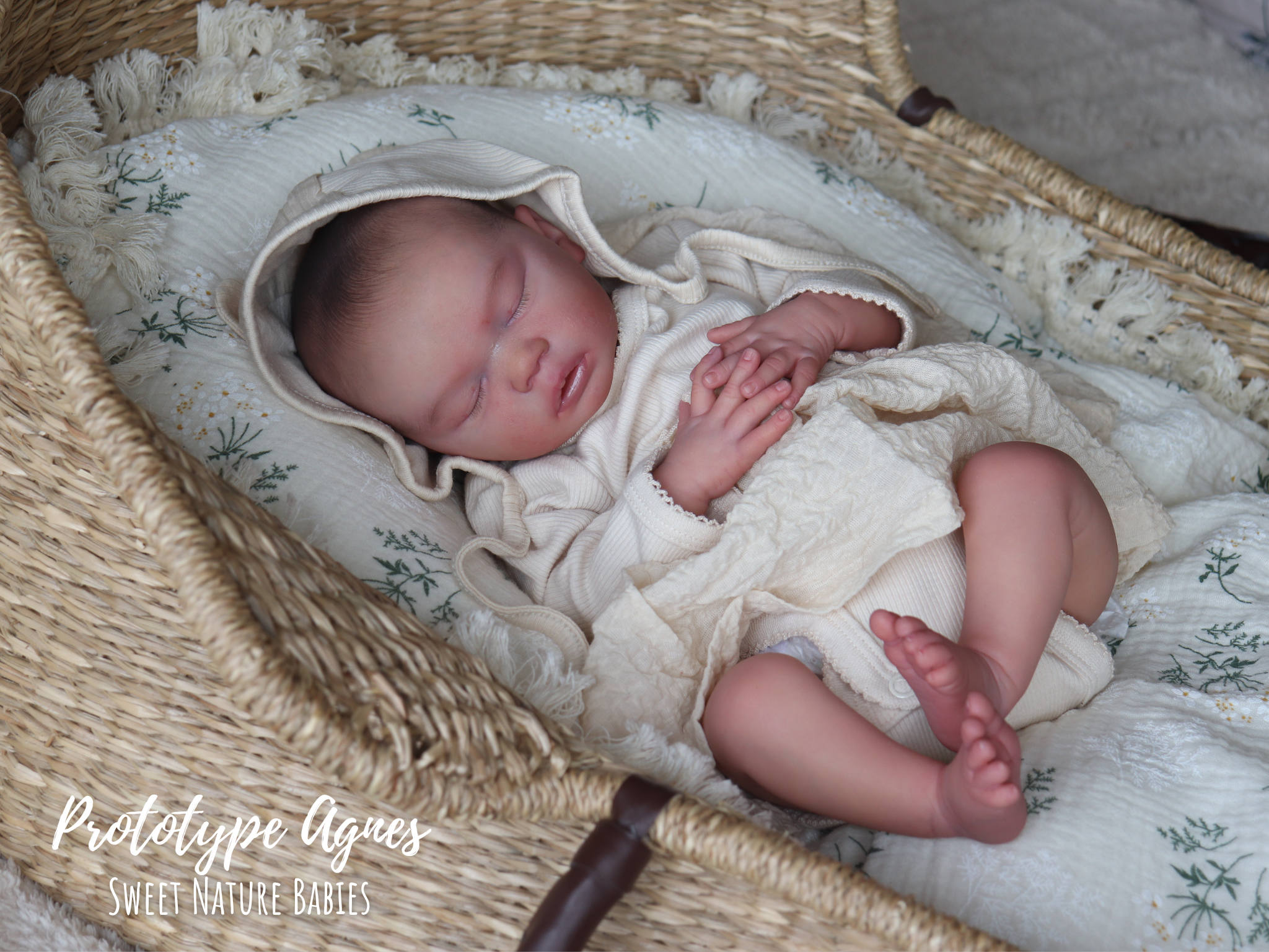 Agnes Priscila Lopez