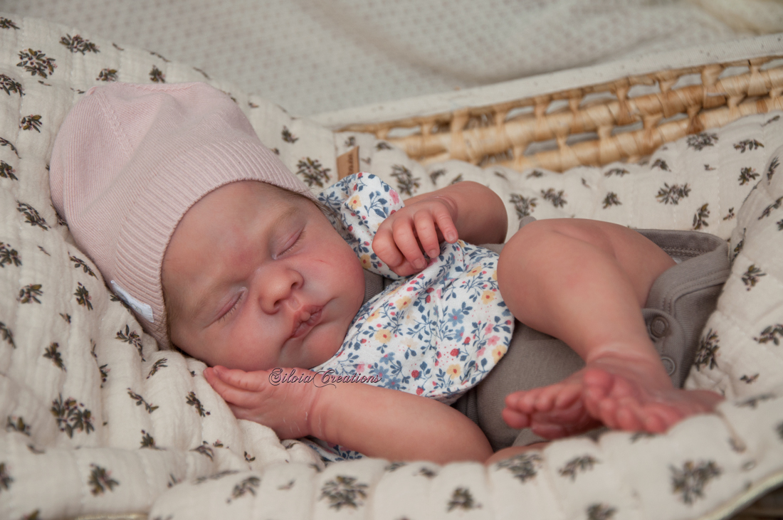 Maxan Doris Moyers