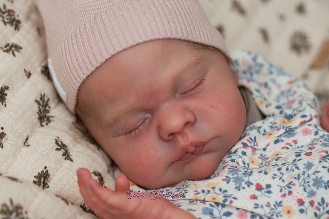Maxan Doris Moyers